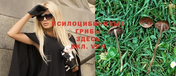 хмурый Бронницы