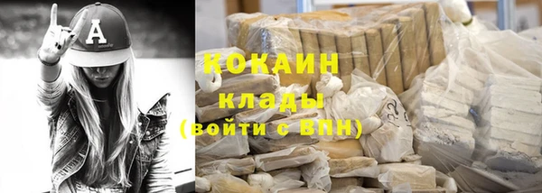 дмт Бородино