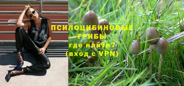 хмурый Бронницы