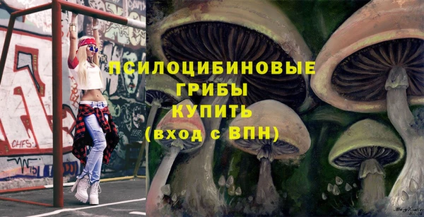 дмт Бородино