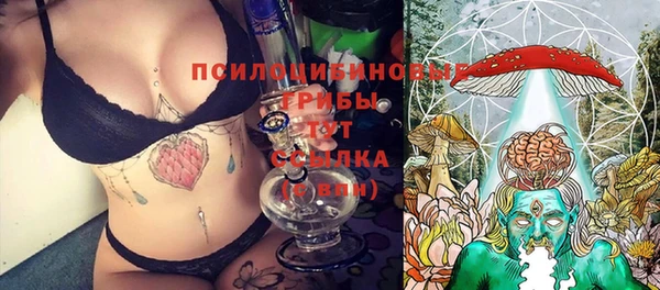 дмт Бородино