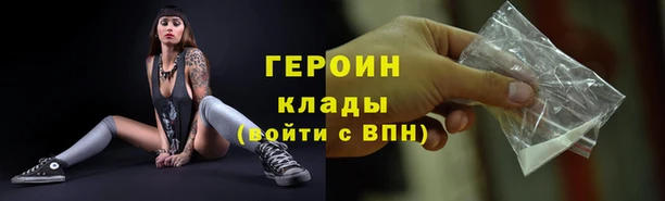 дмт Бородино