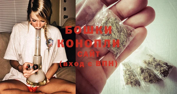 дмт Бородино