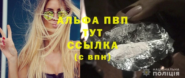 дмт Бородино