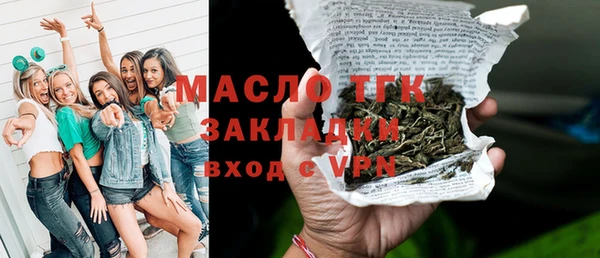 дмт Бородино