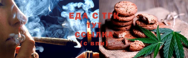 дмт Бородино