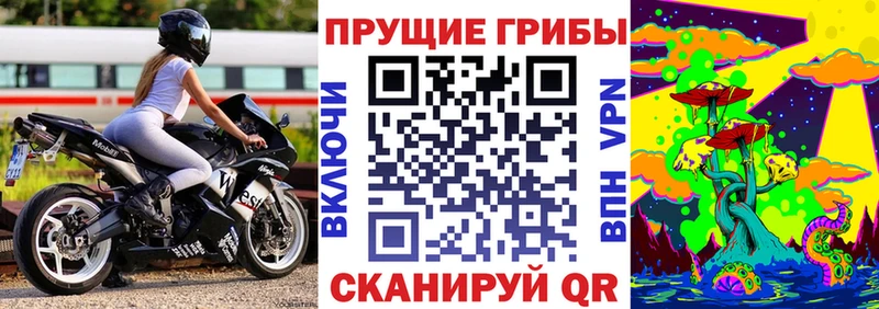 Галлюциногенные грибы Psilocybe  Оса 
